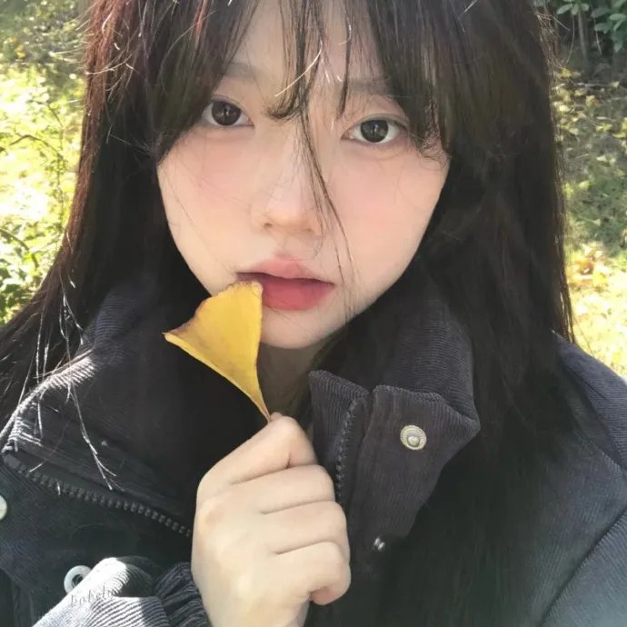 青云志2