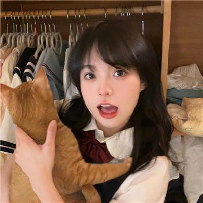 招蜂引蝶